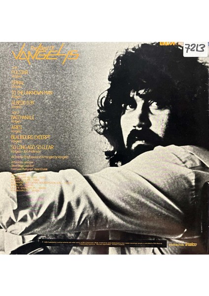 The Best Of Vangelis Lp Plak fiyatları