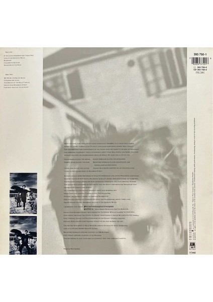 Sting The Dream Of The Blue Turtles Lp Plak fiyatları