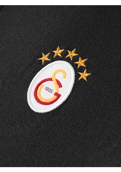 Galatasaray 5 Yıldız Klasik Logo Polo T-Shirt E251403