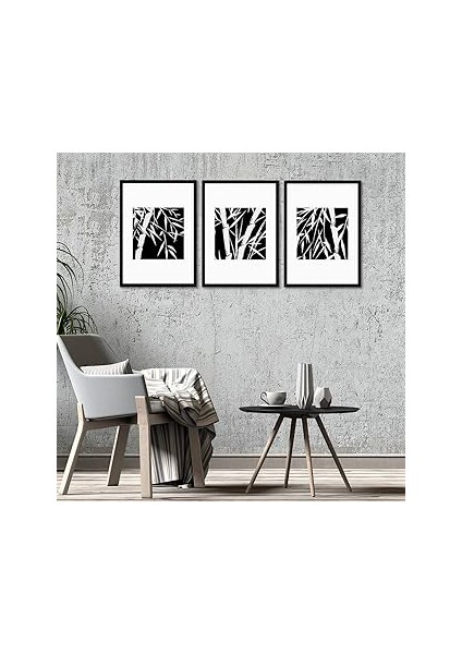 Tabloshop Siyah Beyaz Çerçeveli Set 55 x 75CM (3 Adet)