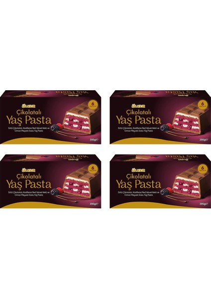 Çikolatalı Orman Meyveli Soslu Yaş Pasta 395 gr x 4 Adet