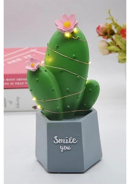 Bfs LED Işıklı Kaktüs Biblo Ev Dekorasyon ve Hediyelik Eşya LED Aydınlatma