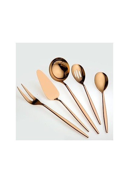 5800 Titanyum Bronz 5 Parça Servis Seti
