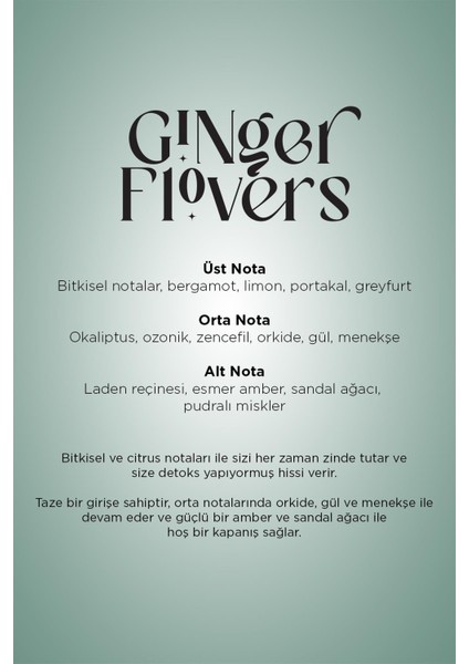 A1 Eco-X Geniş Alan Koku Makinesi ve Ginger Flowers A1 Koku Kartuşu 200 ML Seti indirimleri