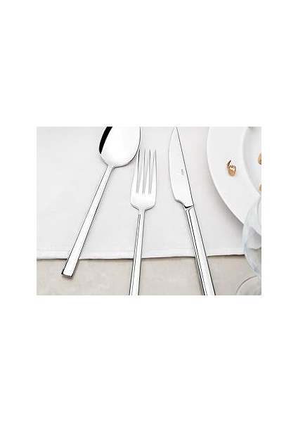 Dalyan Sade 12 Adet Taı Takımı