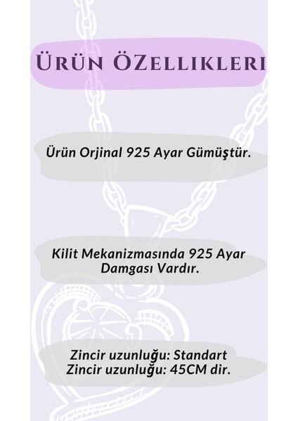 Güneşin Parıltısı Ile Dolu Hediye Kutusu(925 Ayar Gümüş Kolye) modelleri