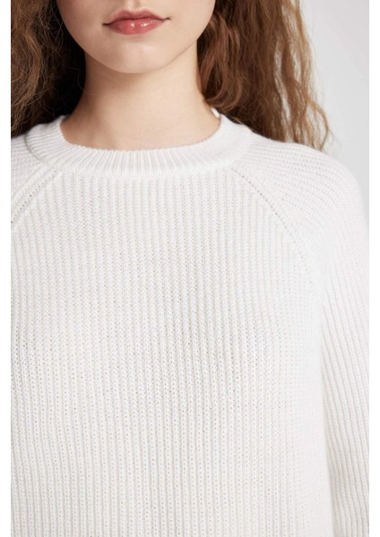Coool Regular Fit Bisiklet Yaka Basic Düz Triko Kazak L2567AZ24WN