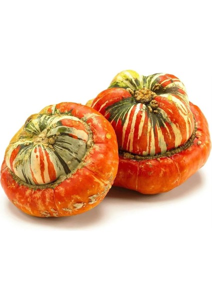 Turks Turban Kavuk Kabağı Tohumu fiyatları