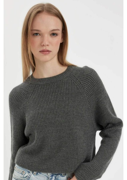 Coool Regular Fit Bisiklet Yaka Basic Düz Triko Kazak L2567AZ24WN