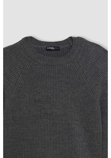 Coool Regular Fit Bisiklet Yaka Basic Düz Triko Kazak L2567AZ24WN