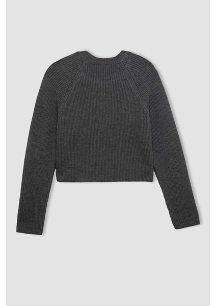 Coool Regular Fit Bisiklet Yaka Basic Düz Triko Kazak L2567AZ24WN