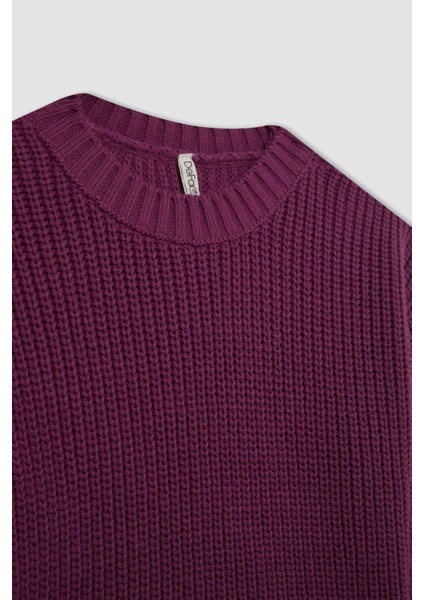 Kız Çocuk Mor Standart Fit Bisiklet Yaka Basic Düz Triko Kazak C6909A824AU