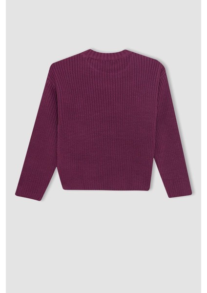 Kız Çocuk Mor Standart Fit Bisiklet Yaka Basic Düz Triko Kazak C6909A824AU