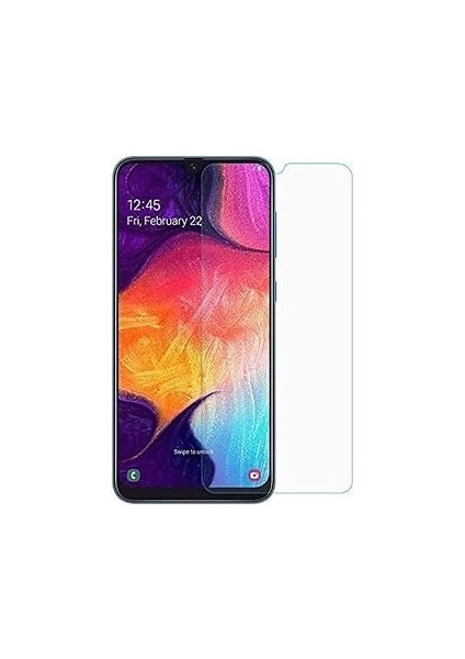 Microsonic Galaxy A50 Nano Cam Ekran Koruyucu