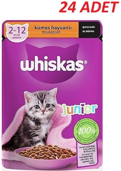 Pouch Sos Içinde Kümes Hayvanlı Yavru Kedi Konservesi 85 Gr*24 Adet