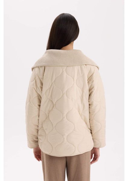 Su Geçirmez Mevsimlik Mont Kapitoneli Fermuarlı Cepli Hafif C7767AX24AU