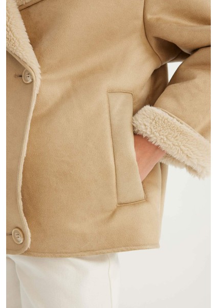 Relax Fit Süet Mont Kruvaze Yaka Düğmeli Mevsimlik Pelüş Astarlı C6655AX24WN