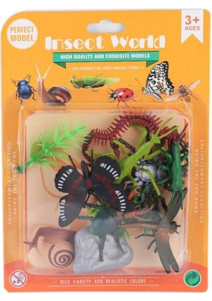 Bfs H7 Kartelalı Sürüngen Hayvanlar