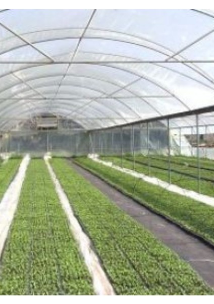 160 Micron Naylon Örtü, Şeffaf Su Geçirmez Naylon, 10X24 Metre fiyatları