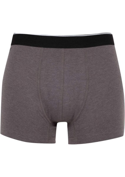 Regular Fit 3'lü Boxer C9558AX24WN