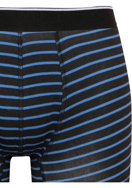 Regular Fit Çizgili 3'lü Boxer C9573AX24CW fırsatları