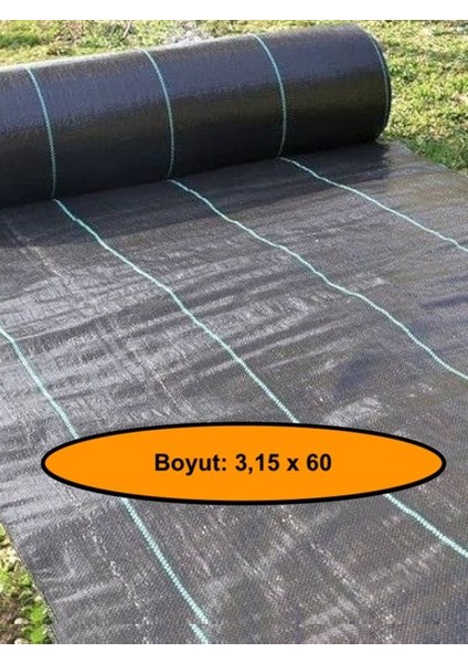 Jut Zemin Kaplama Malzemesi, Çim Çıkarmaz, 3,15X60 Metre