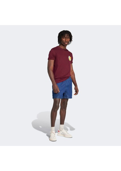 Graphic Lo Ss T Erkek Bordo T-Shirt.- fiyatları