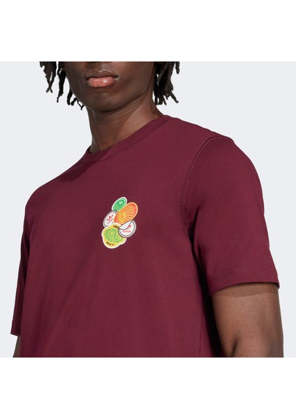 Graphic Lo Ss T Erkek Bordo T-Shirt.- fırsatları