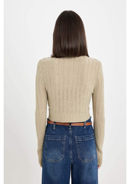 Regular Fit Crop Bisiklet Yaka Örgü Delikli Triko Kazak C6321AX24WN