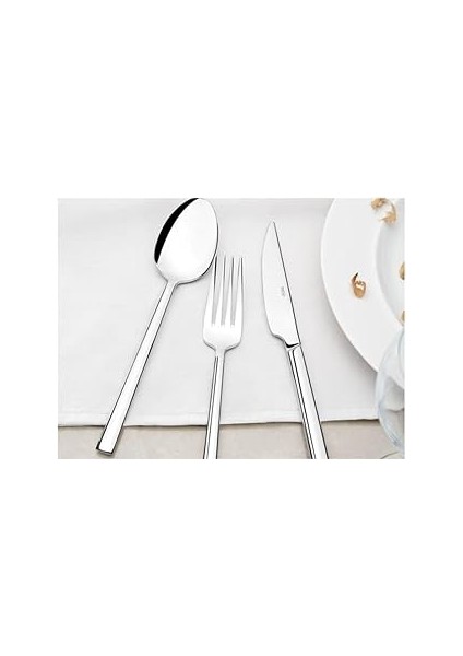 Dalyan Sade 12 Adet Yemek Kaşık Takımı