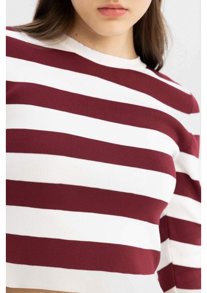 Coool Slim Fit Dar Kesim Çizgili Bisiklet Yaka Triko Kazak X6888AZ24WN
