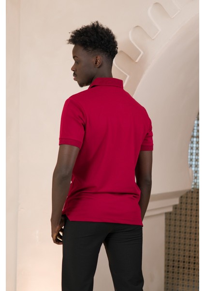 Örme Polo Yaka Regular Fit Pamuklu ve Likralı T-Shirt fırsatları