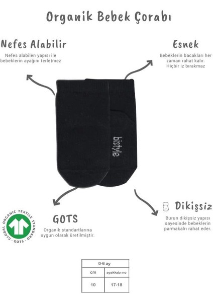 Bfs Bistyle 5'li Penye Soket Kutulu Basic Çorap 10131 Gri