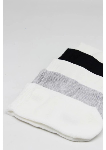 Bfs Bistyle 5'li Penye Soket Kutulu Basic Çorap 10131 Gri