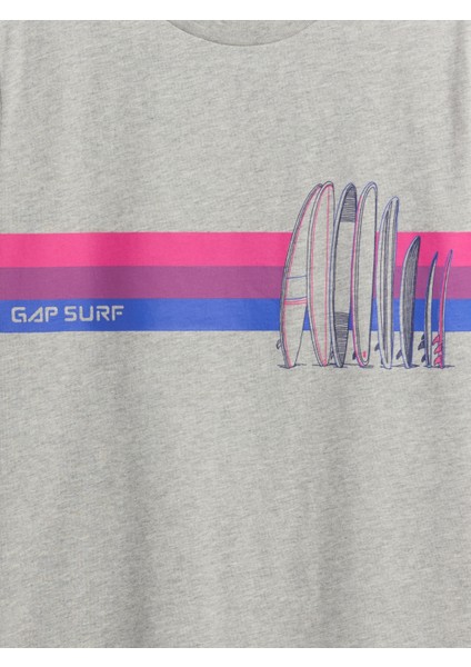 Erkek Çocuk Gri Kids Grafik T-Shirt fiyatları