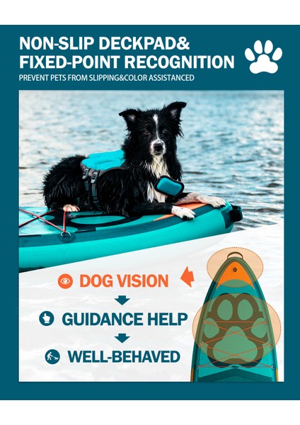 Famıly Blue Şişme Stand-Up Paddle Board