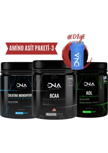Amino Asit Paketi-3 (Creatine+Bcaa+Aol)