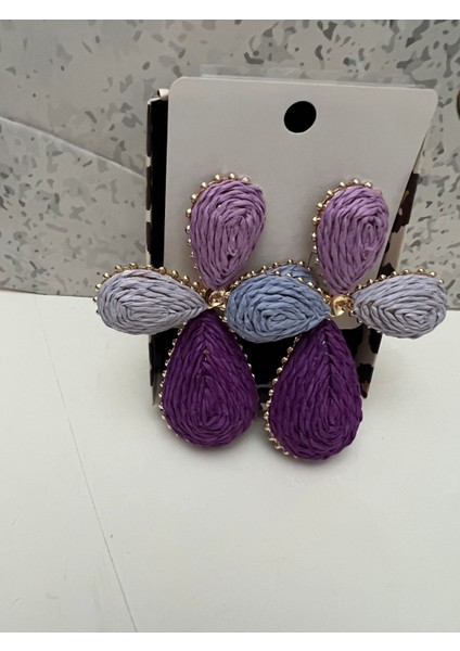 Mor ve Tonlarında Kadın Paslanmaz Hasır Çelik Küpe modelleri