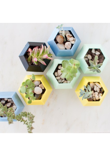Geometrik Renkli Saksı fırsatları
