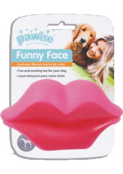Vinyl Toy-Lip Köpek Oyuncağı Ynsmr