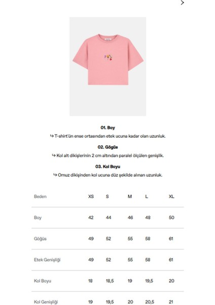 Arı Lightweight Crop T-Shirt - Bordo
