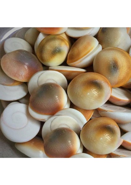 Şifa Taşı Yılancık 35 Adet, Doğal ve Enerjik Taş Seti