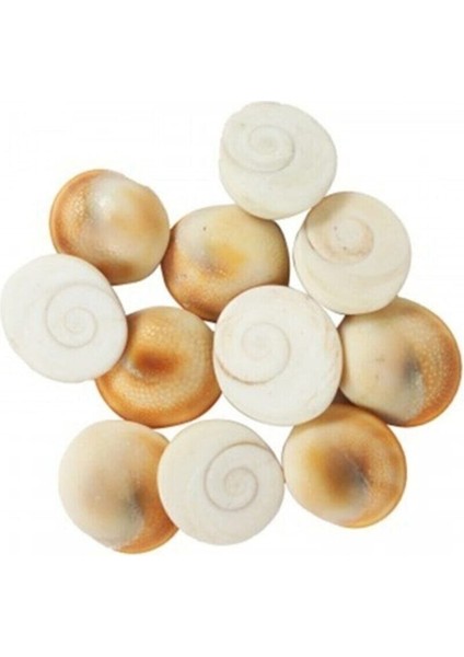 Şifa Taşı Yılancık 35 Adet, Doğal ve Enerjik Taş Seti modelleri