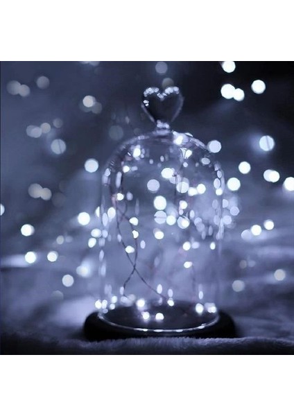 Bfs Pilli 5 Metre Dekoratif Peri LED Beyaz Aydınlatma Süsleme Lambası fırsatları