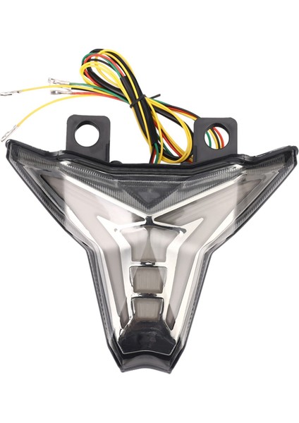 Motosiklet LED Arka Işıkları Arka Fren Lambası Direksiyon Sinyal Grubu (Yurt Dışından)