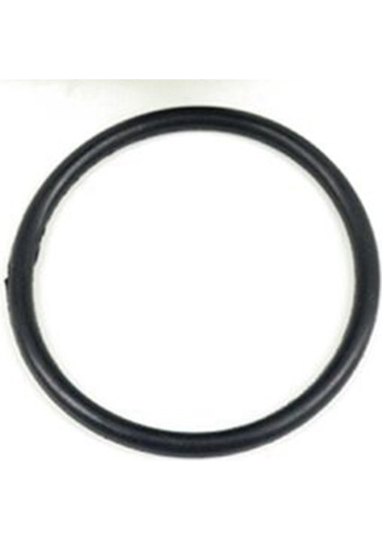 Rölanti Hava Hız Kontrol Vanası 18137-52D00 Xl-7 2.7l V6 2002-2006 Için (Yurt Dışından)