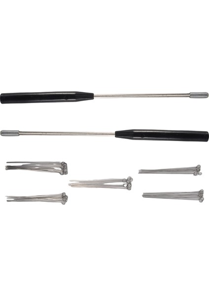 50 Adet 10UL Nikrom Iğne Uçlu 2 Adet Yeniden Kullanılabilir Aşılama Döngüsü Tutucuları Laboratuvar Için Aşılama Döngüsü (Yurt Dışından)