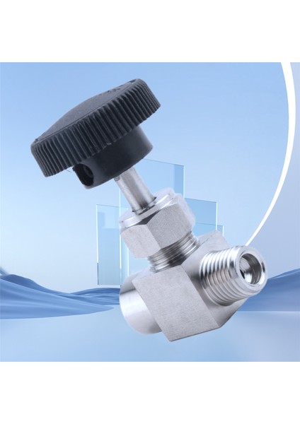 Iğne Vana Ayarlanabilir 1/4 Inç Erkekten Dişi Diş Paslanmaz Çelik 304 Akış Kontrolü Kapatma Vinç Iğne Vana (Yurt Dışından)