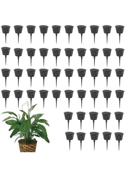 50 Adet Gübre Sepeti Gübre Kutusu Kasası Kolayca Taşınan Parça Bonsai Gübre Kabı Çiçek Için Çevre Dostu Alet (Yurt Dışından) indirimleri