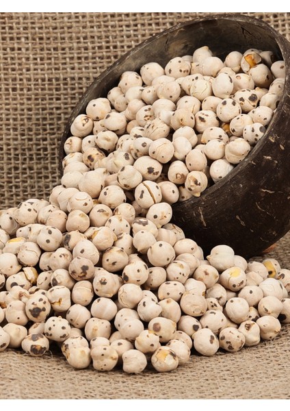 Köy Leblebisi modelleri